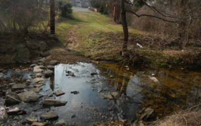 Department of Environment and Sustainability (DEPS) has an update on the Roland Run Stream Restoration 10/2022