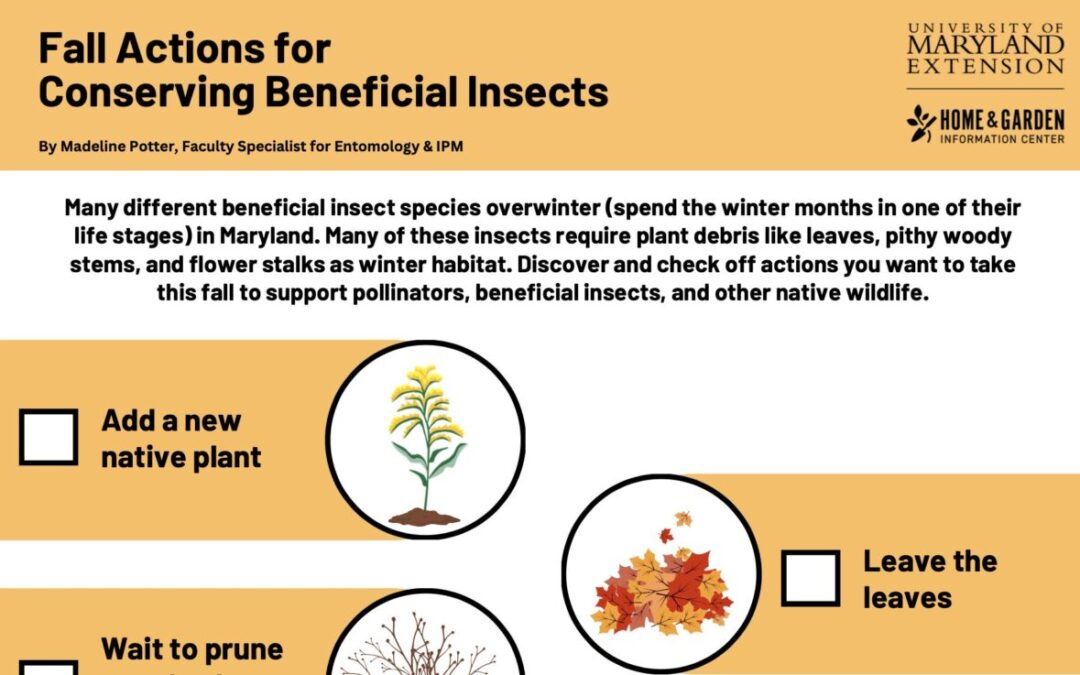 Fall Actions for Pollinators Beneficial Insects
