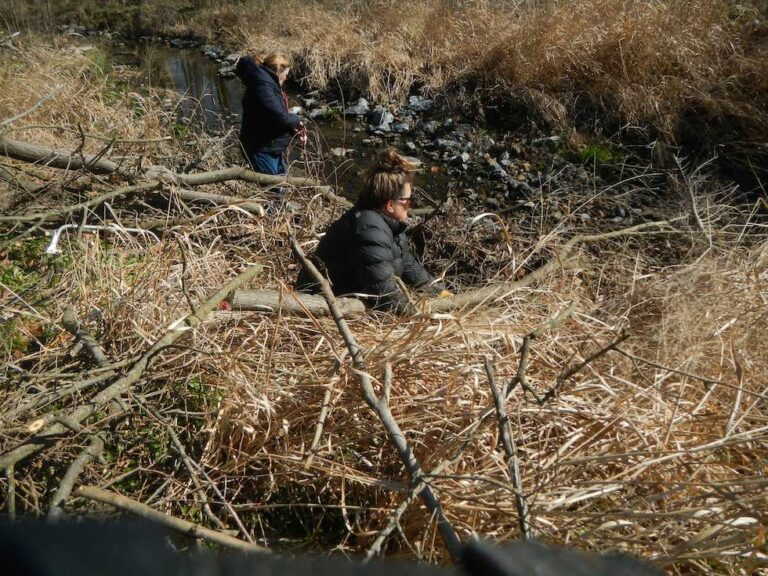 Greenspring Drive neighbors and FORR members clean up a debris dam in the 17 block of Greenspring Drive.