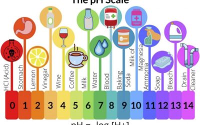 Water Testing and what pH testing means