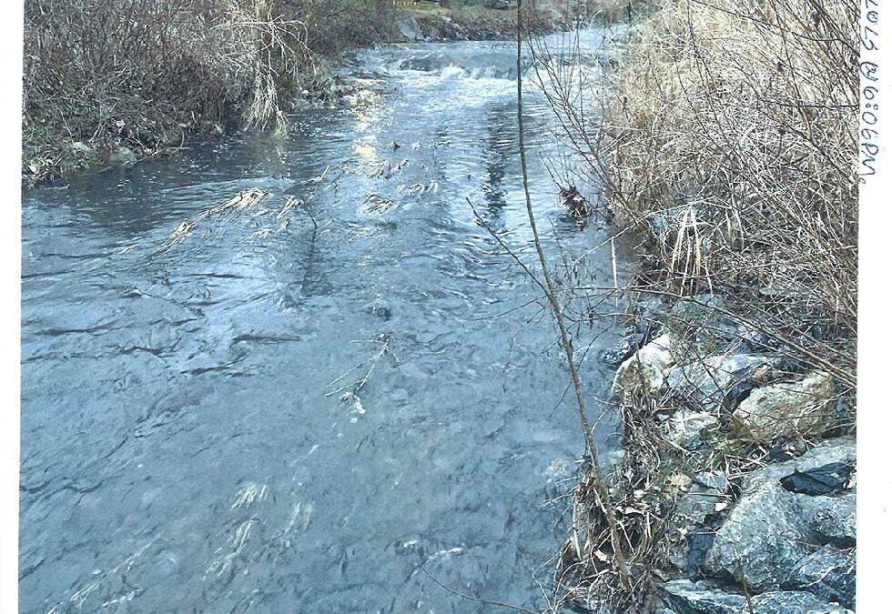 Unknown SOURCE POLLUTES THE ROLAND RUN